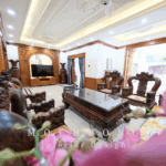 du-an-tan-co-dien-tan-binh